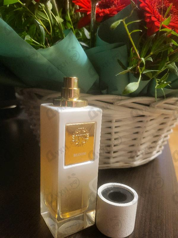 Парфюмерия Bloom от The Woods Collection