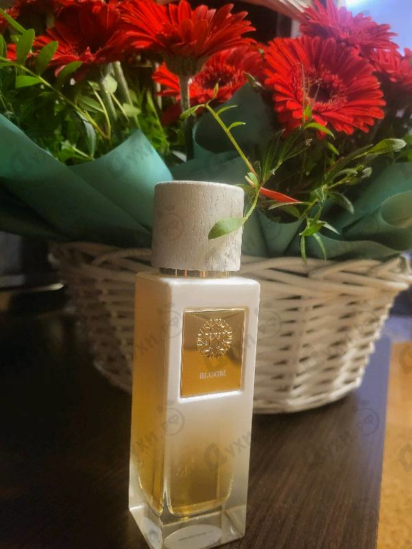 Отзывы The Woods Collection Bloom