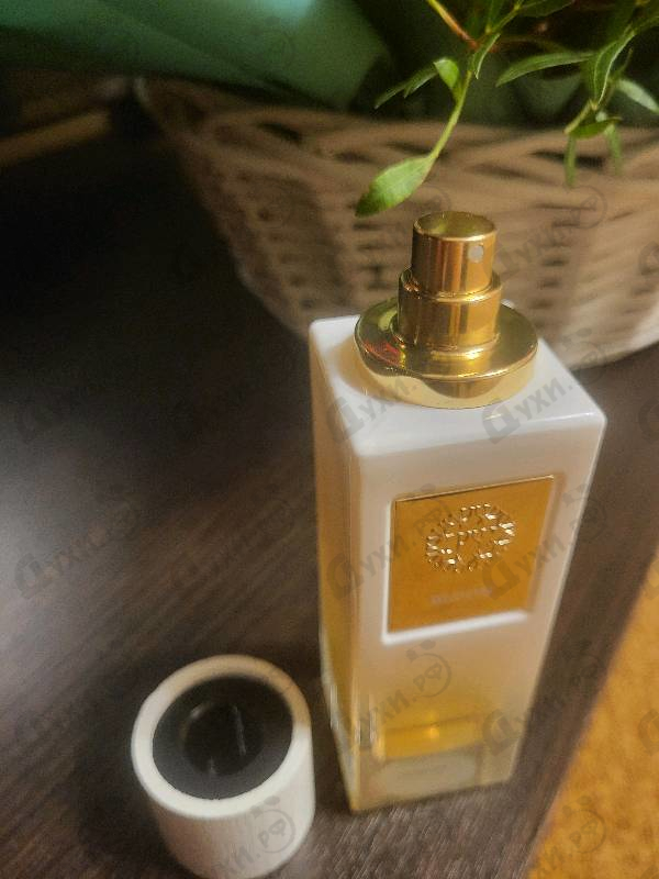 Парфюмерия Bloom от The Woods Collection