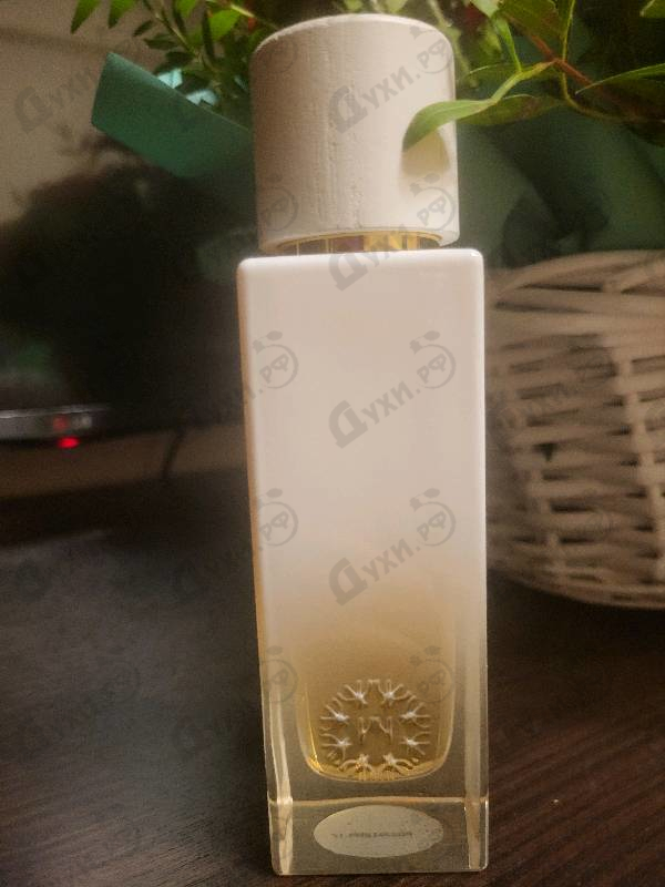 Парфюмерия Bloom от The Woods Collection