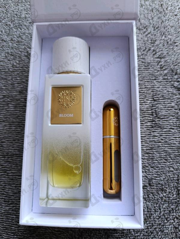 Купить Bloom от The Woods Collection
