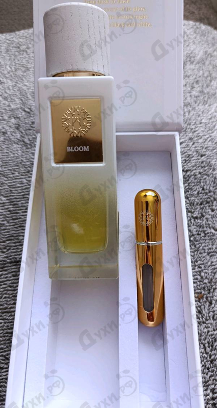 Купить Bloom от The Woods Collection