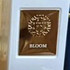 Купить Bloom от The Woods Collection