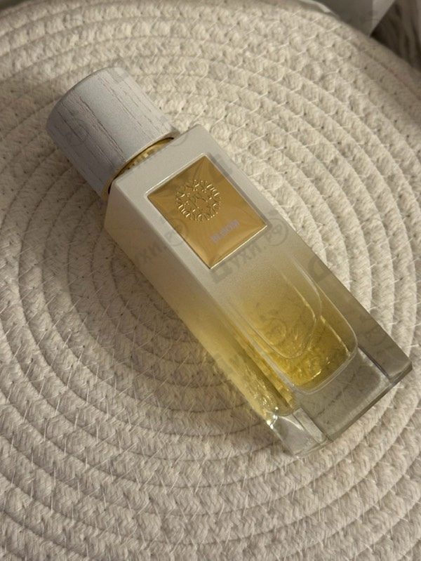 Купить Bloom от The Woods Collection