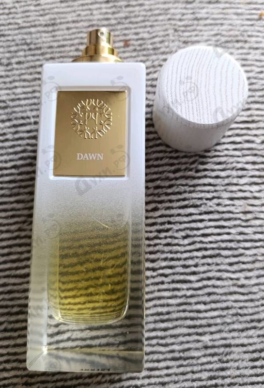 Купить Dawn от The Woods Collection