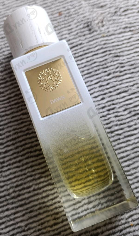 Купить The Woods Collection Dawn