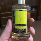 Духи Panorama от The Woods Collection
