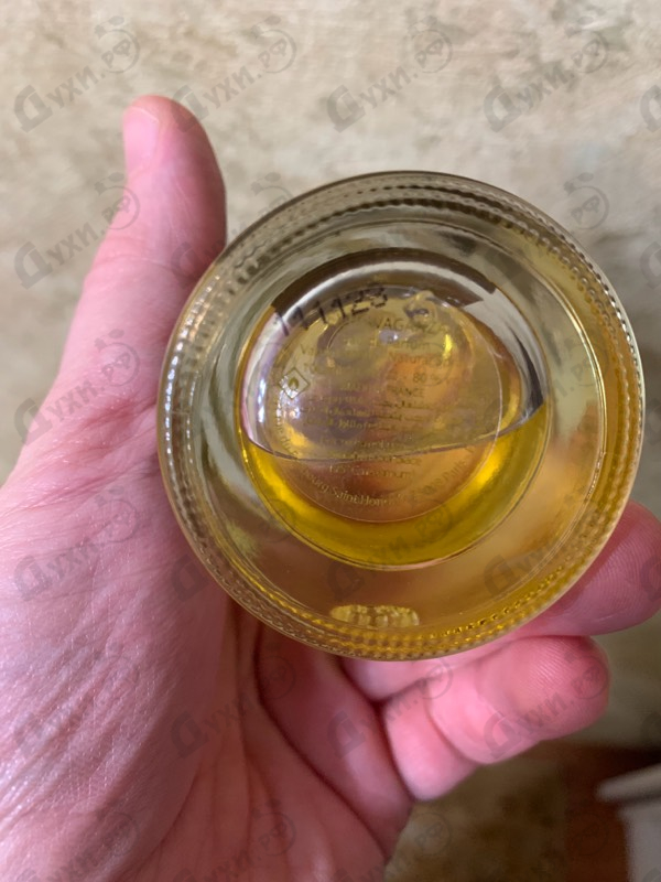 Духи Panorama от The Woods Collection