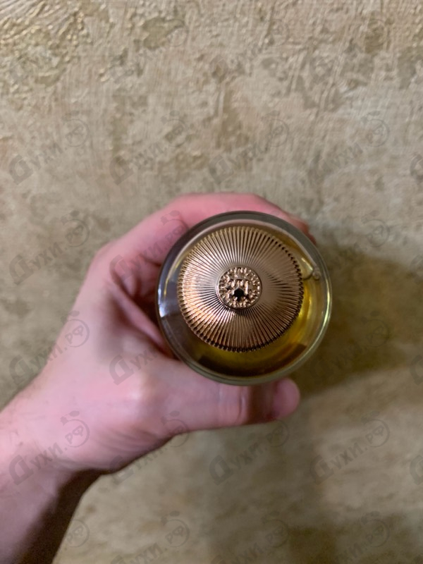 Купить Panorama от The Woods Collection