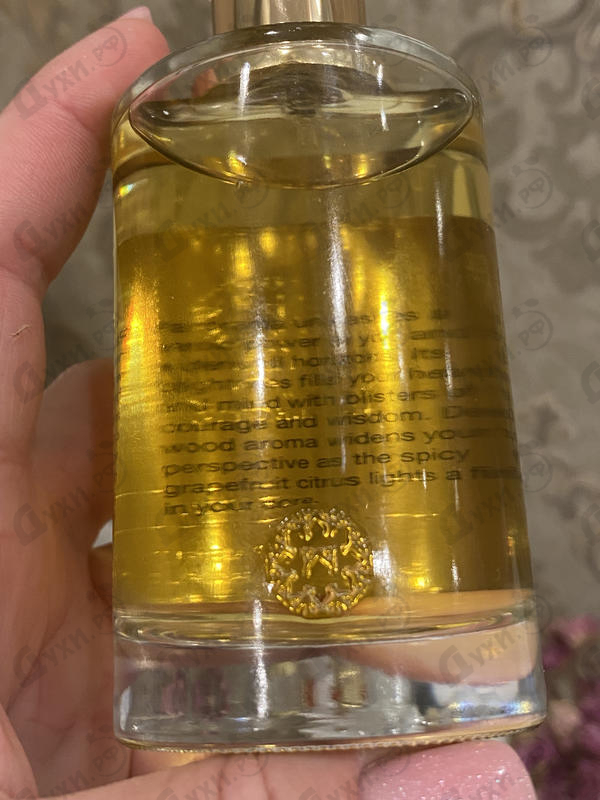 Отзывы The Woods Collection Panorama Духи Panorama от The Woods Collection