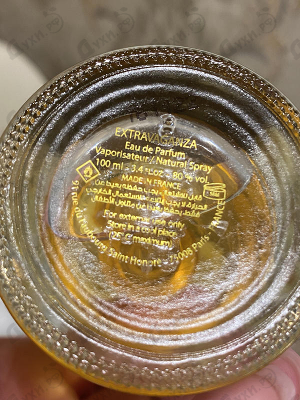 Купить Panorama от The Woods Collection