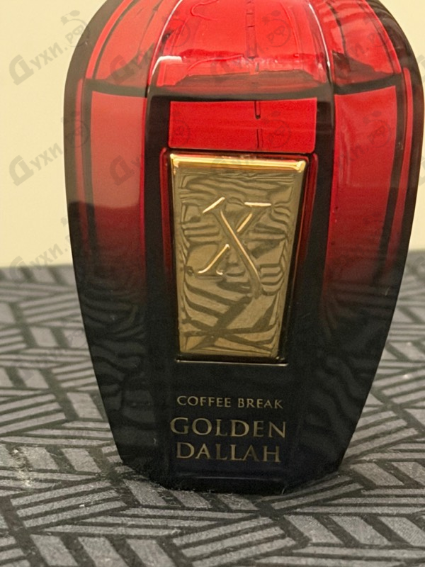 Купить Golden Dallah от Xerjoff