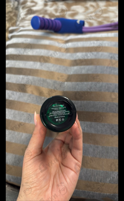 Купить Eterniris от Hermetica