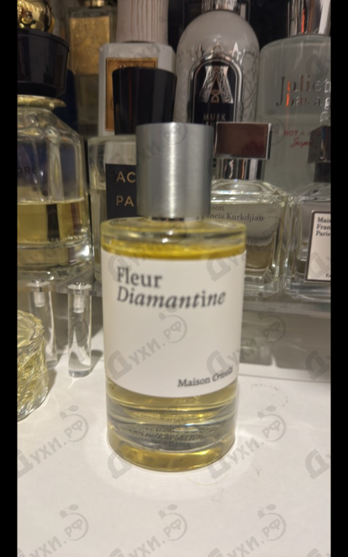 Отзывы Maison Crivelli Fleur Diamantine