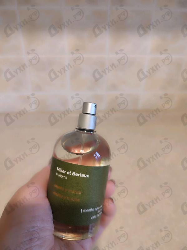 Купить Menta Y Menta от Miller Et Bertaux