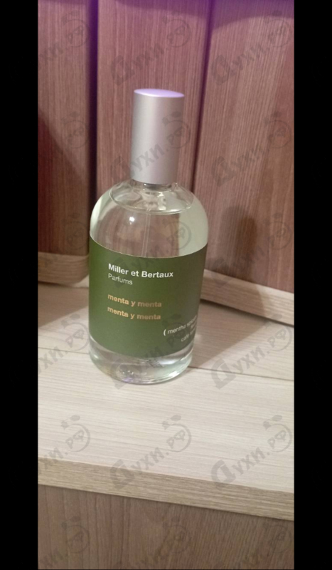 Купить Menta Y Menta от Miller Et Bertaux