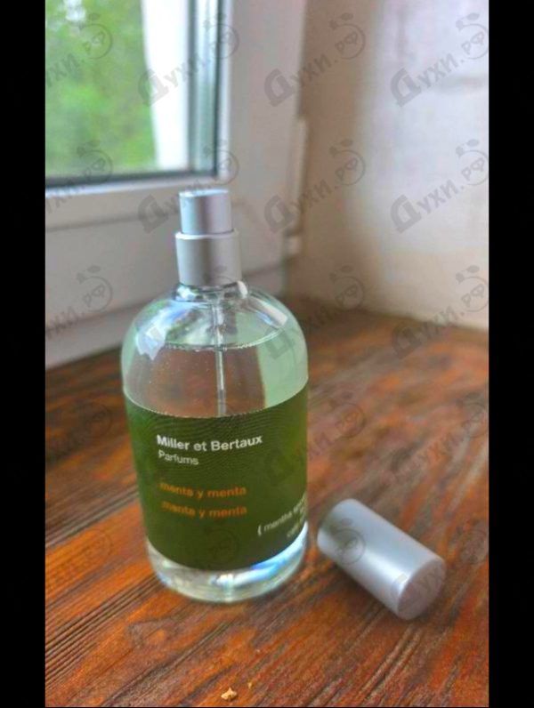 Купить Menta Y Menta от Miller Et Bertaux