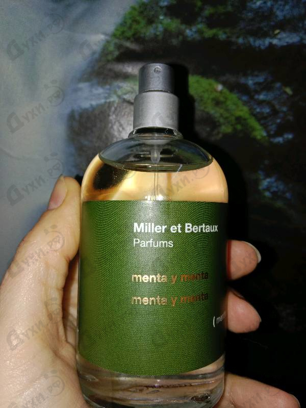 Духи Menta Y Menta от Miller Et Bertaux