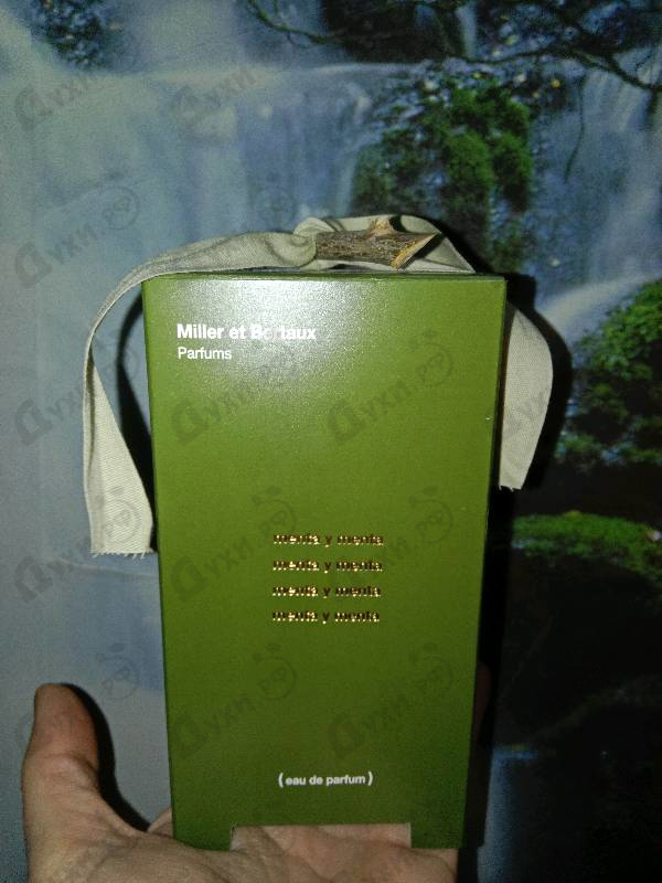 Купить Menta Y Menta от Miller Et Bertaux