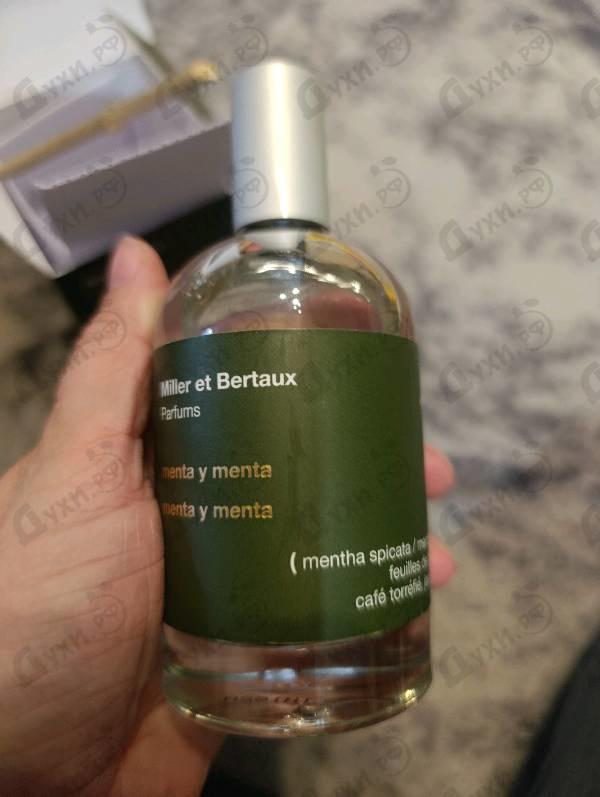 Купить Menta Y Menta от Miller Et Bertaux