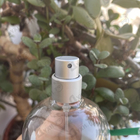 Духи Menta Y Menta от Miller Et Bertaux