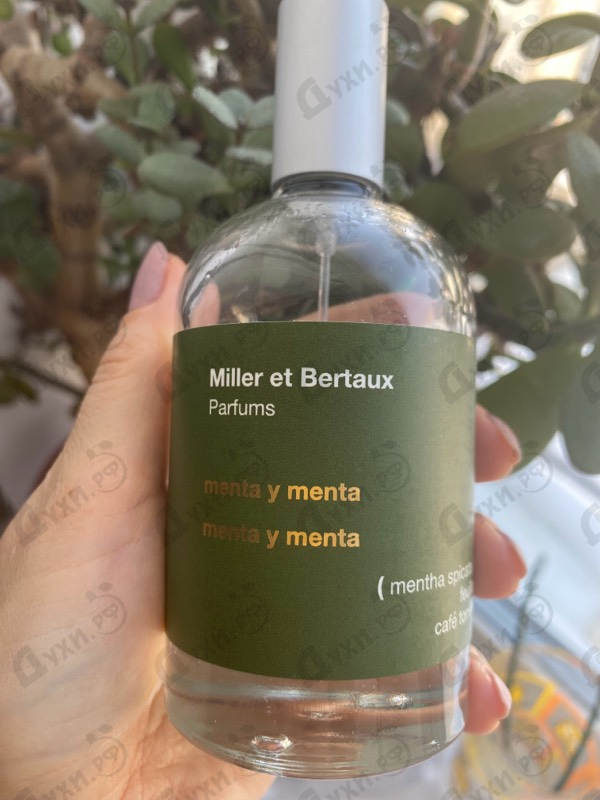 Отзывы Miller Et Bertaux Menta Y Menta