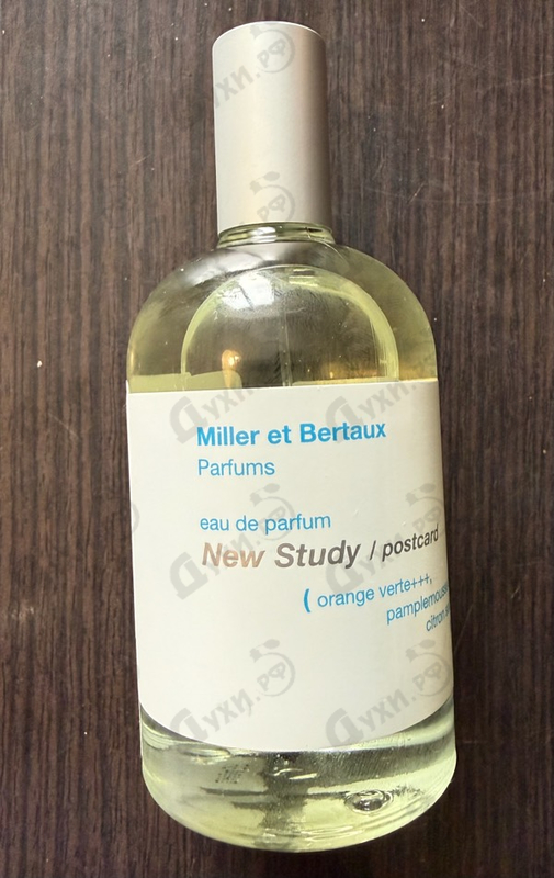 Купить New Study (Postcard) от Miller Et Bertaux