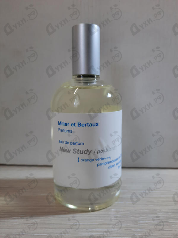 Купить New Study (Postcard) от Miller Et Bertaux