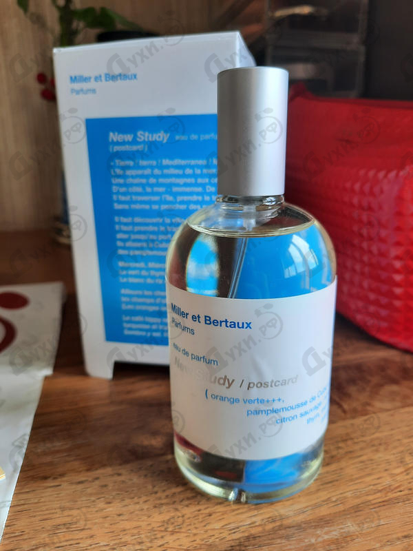Духи New Study (Postcard) от Miller Et Bertaux