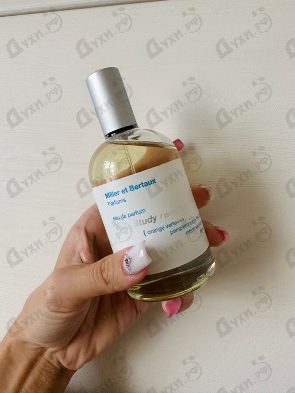 Купить Miller Et Bertaux New Study (Postcard)