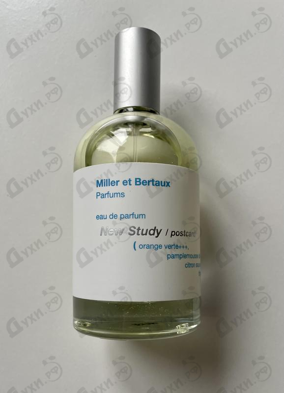 Отзывы Miller Et Bertaux New Study (Postcard)