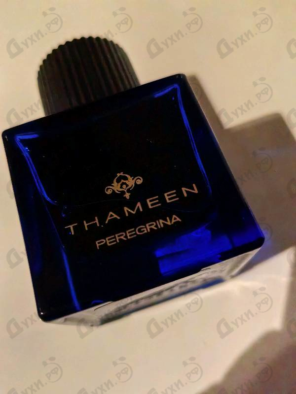 Купить Peregrina от Thameen