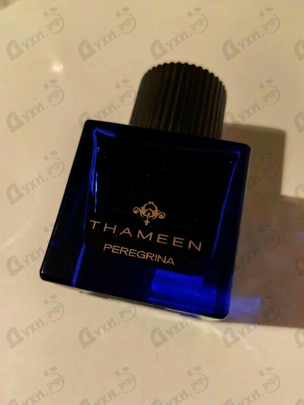 Купить Thameen Peregrina