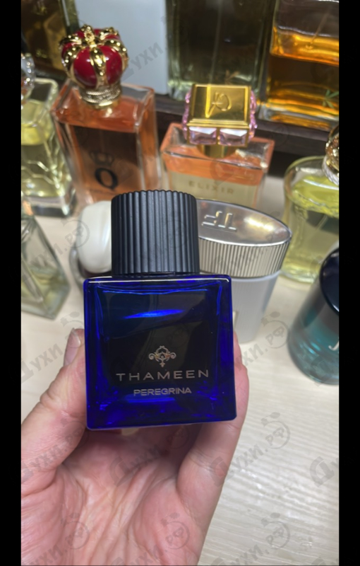 Купить Peregrina от Thameen
