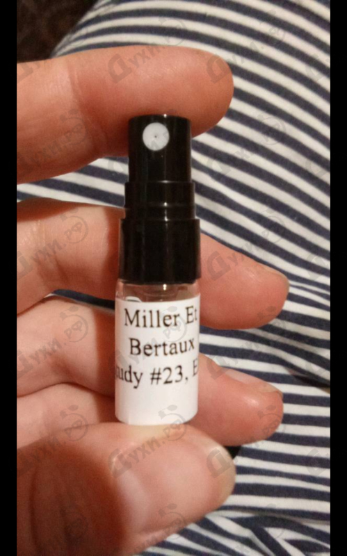 Купить Miller Et Bertaux Study #23
