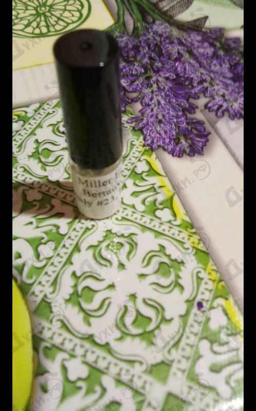 Духи Study #23 от Miller Et Bertaux