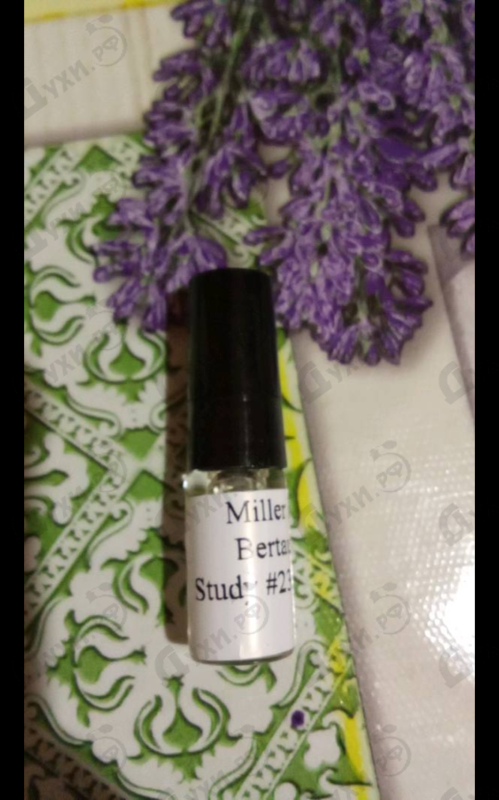 Отзыв Miller Et Bertaux Study #23