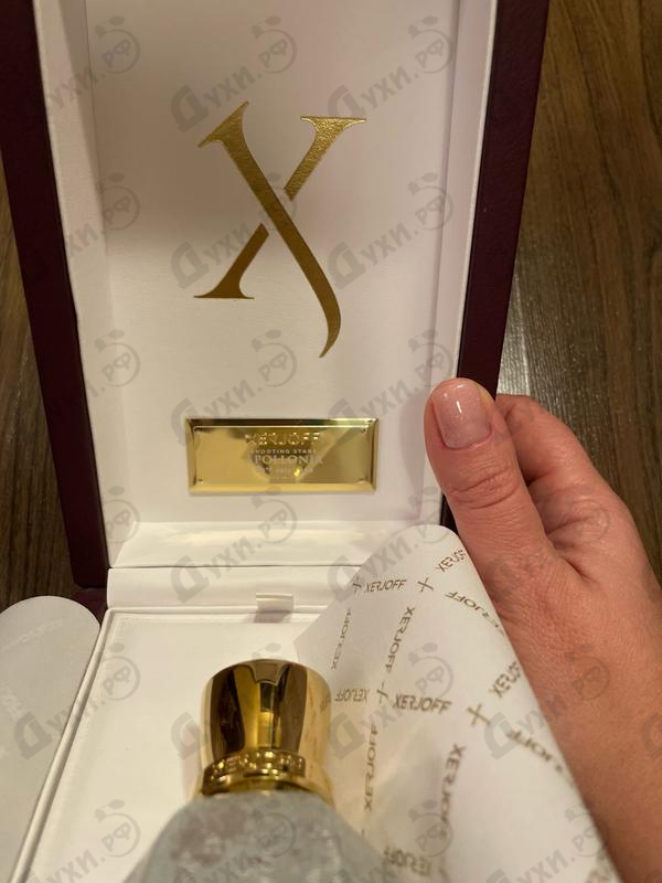 Купить Apollonia от Xerjoff Отзывы Xerjoff Apollonia