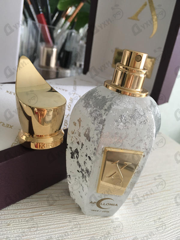 Купить Apollonia от Xerjoff Отзывы Xerjoff Apollonia