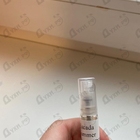 Отзывы Escada Summer Festival