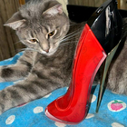 Отзыв Carolina Herrera Very Good Girl