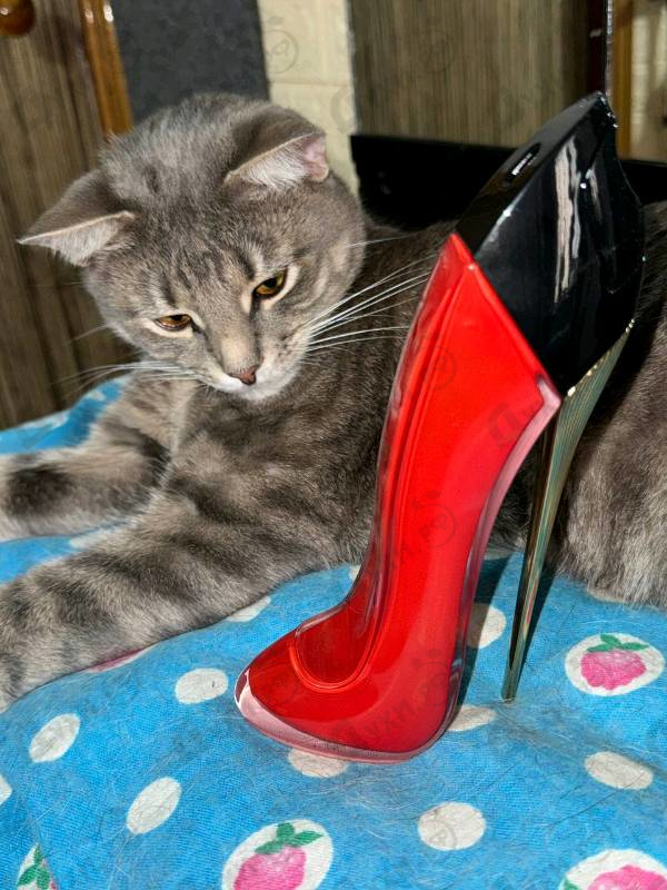 Отзывы Carolina Herrera Very Good Girl