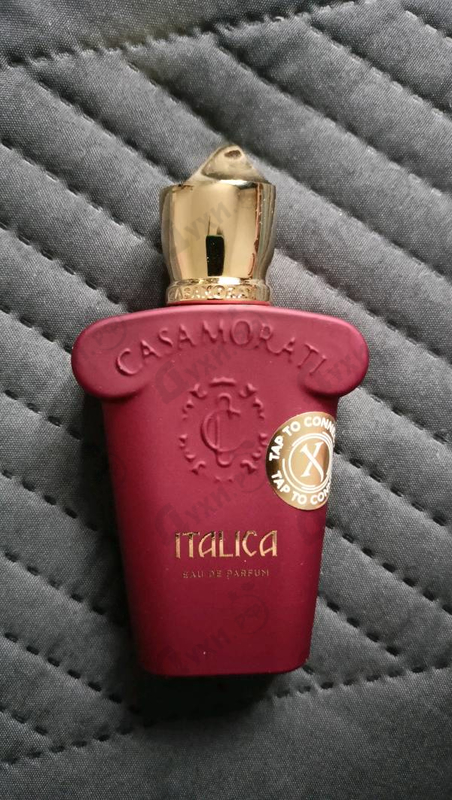 Купить Italica от Xerjoff