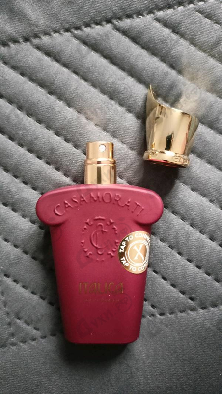 Купить Xerjoff Italica