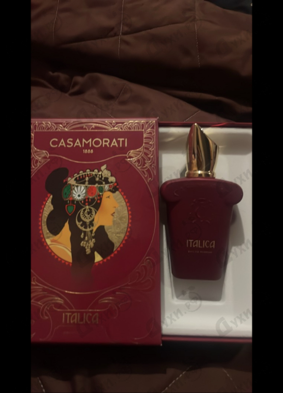 Купить Italica от Xerjoff