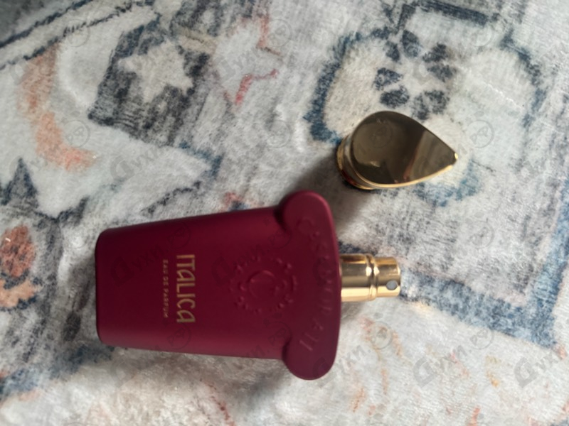 Купить Xerjoff Italica