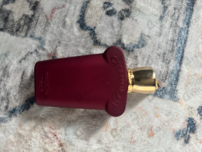 Парфюмерия Italica от Xerjoff