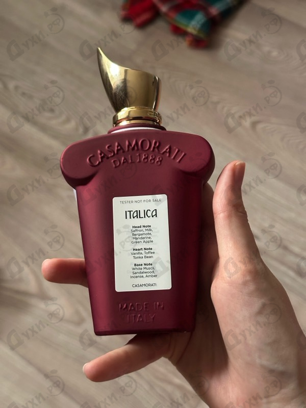 Парфюмерия Italica от Xerjoff