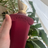 Купить Italica от Xerjoff
