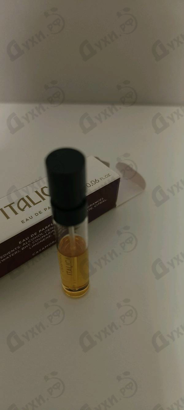 Купить Italica от Xerjoff